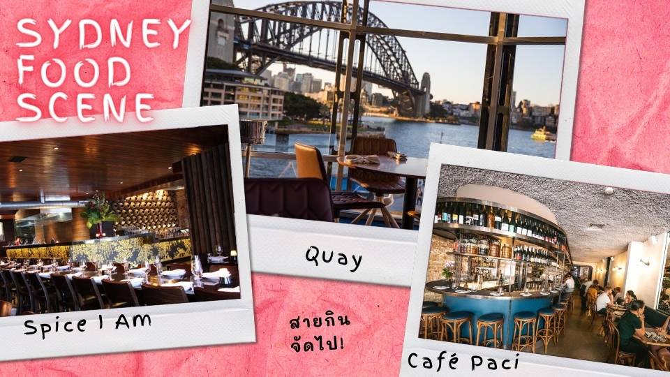 why studying in sydney australia