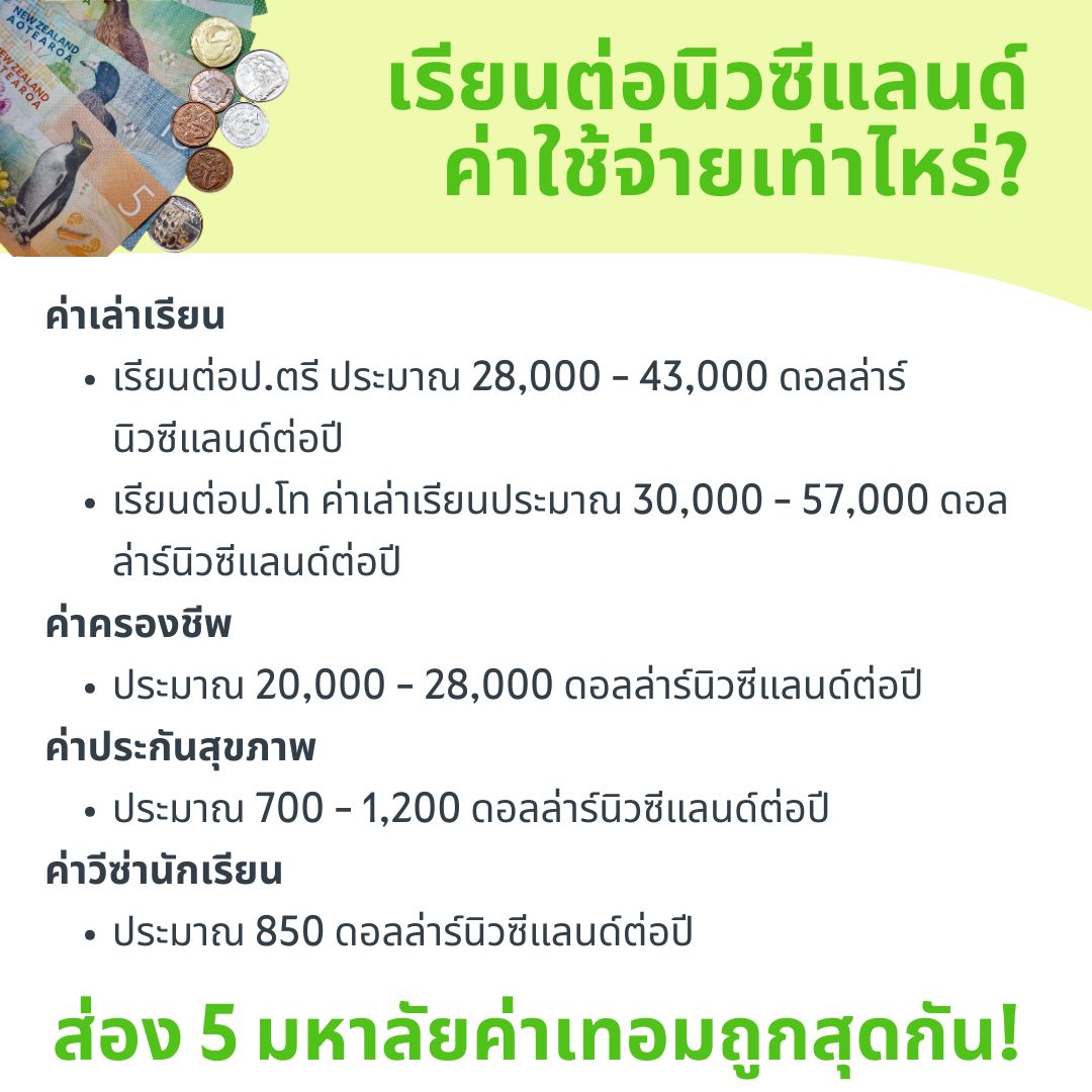 cost of studying nz