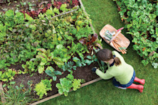 Career options for horticulture students