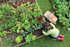 Career options for horticulture students