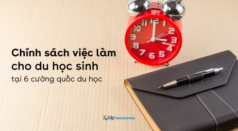 chính sách việc làm