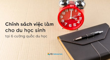 chính sách việc làm