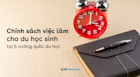Chính sách việc làm cho du học sinh tại 6 cường quốc du học năm 2025