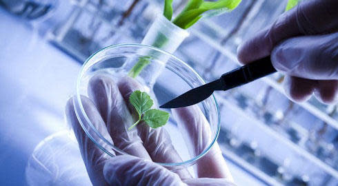 Biotechnology