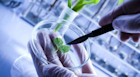 Biotechnology