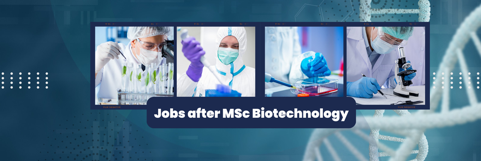 jobs after MSc Biotechnology in 2025