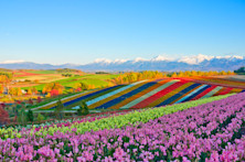 50 фактов о Японии, которые вас шокируют