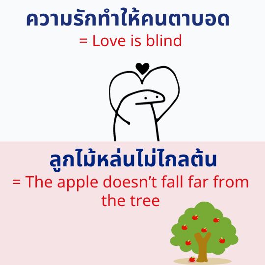ความรักทำให้คนตาบอด ลูกไม้หล่นไม่ไกลต้น ภาษาอังกฤษ สำนวนภาษาอังกฤษ