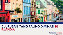  5 JURUSAN YANG PALING DIMINATI DI IRLANDIA