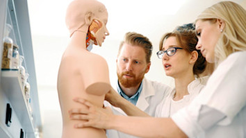 Students of Medicine examining anatomical model in classroom