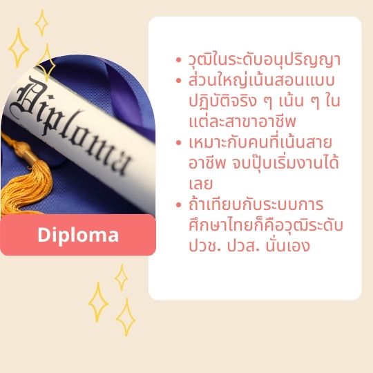 diploma summary