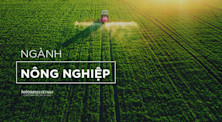 Ngành Nông nghiệp: Học gì, học ở đâu và cơ hội nghề nghiệp