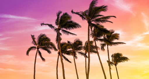 Hawaii