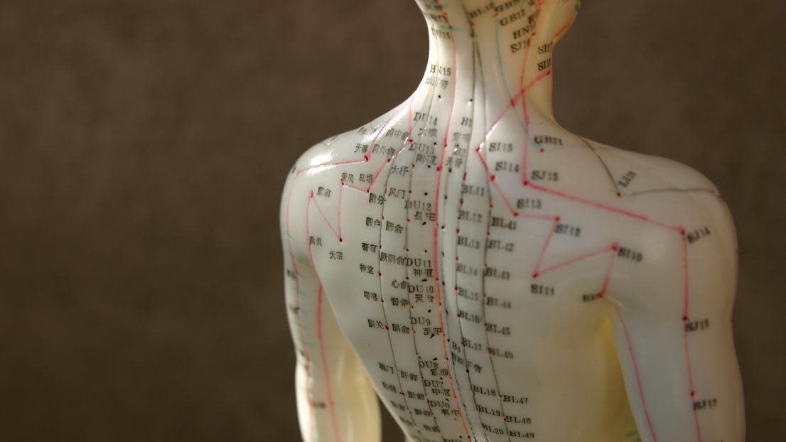 Back of dummy with acupuncture markings