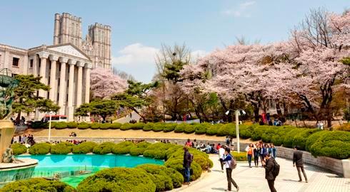 mendaftar ke universitas di korea selatan