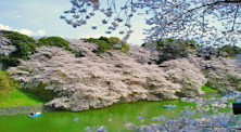 Những điểm đến an toàn cho việc du học