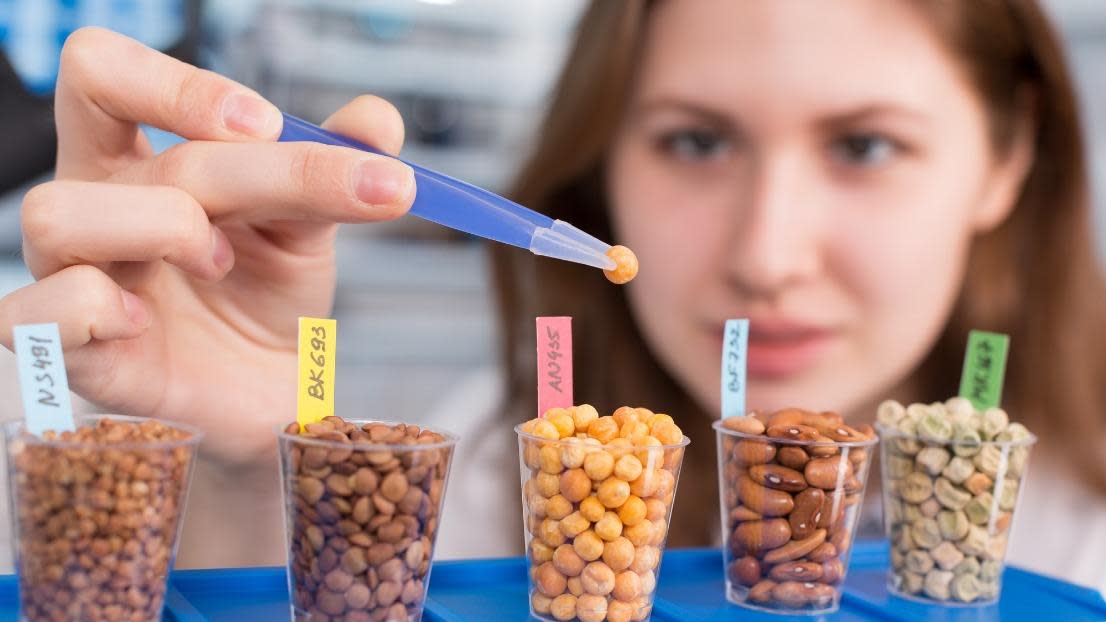 girl in the laboratory of food quality tests 