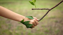 Subjects and degrees to save the planet