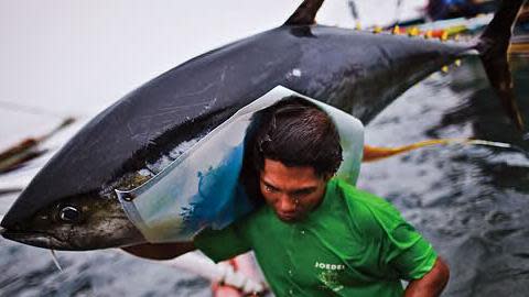 Know more about Fisheries