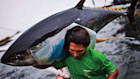 Know more about Fisheries