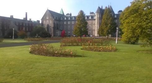 Maynooth University is one of the best places to study Business Analytics in Ireland.