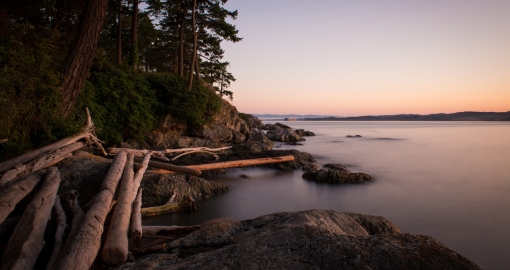 Park near Victoria BC Canada at sunset