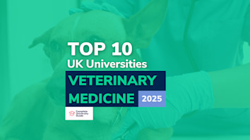 Top 10 unis for vet medicine - vet holding a dog
