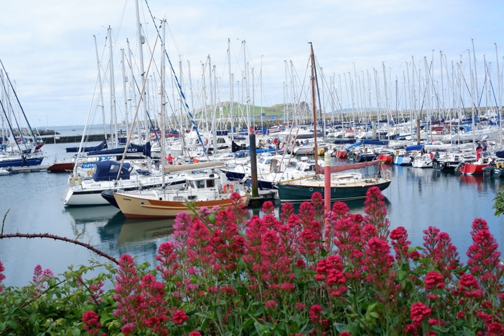 Jing Wang Dublin City University, Howth Dublin