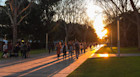 New diploma programmes at UNSW for international students: press report