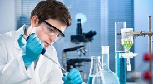 เรียนต่อวิทยาศาสตร์ที่นิวซีแลนด์