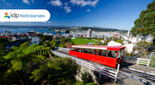 Tìm hiểu thành phố Wellington: Mọi điều bạn cần biết