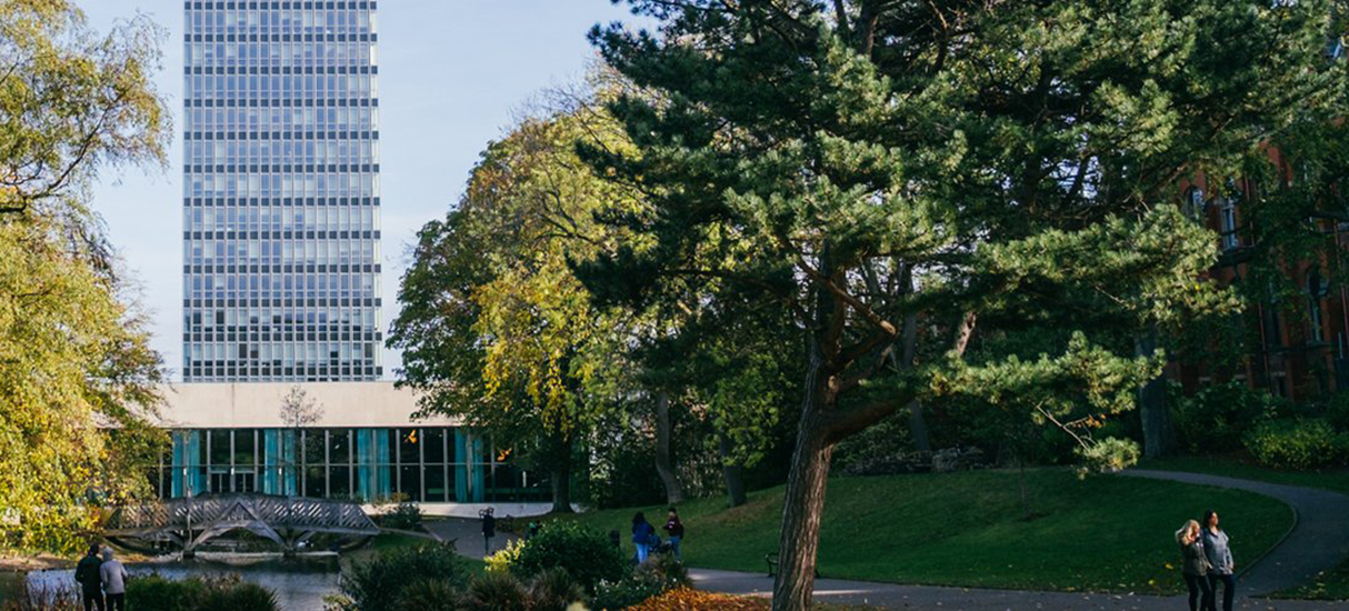 University of Sheffield