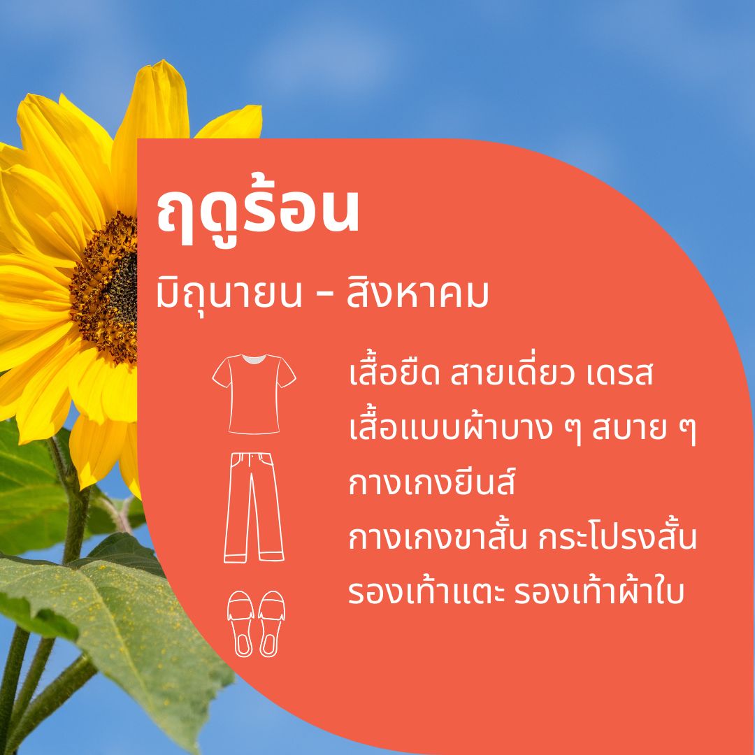 summer
