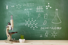 What are the most popular STEM degrees?