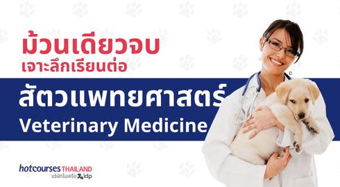 all information about Veterinary Medicine degree