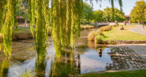 canterbury new zealand