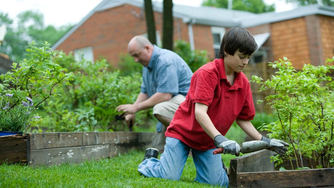 Older man and young boy working in a garden