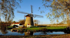 Top 10 Universities in Netherlands