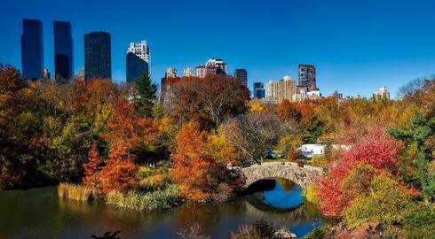 central park america