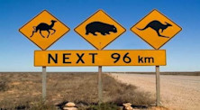 Menjelajahi Australia Sebagai Pelajar Internasional