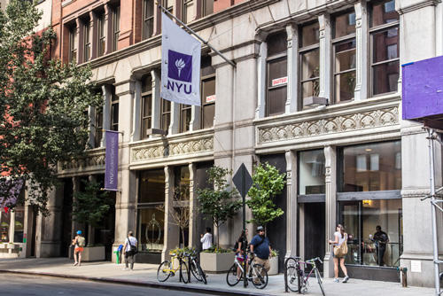 new york university