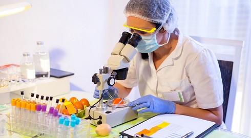 Maestría en Tecnología de los Alimentos