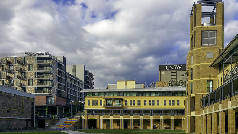 UNSW offers commerce courses for international students after completing 12th commerce.