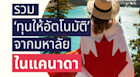 รวม ‘ทุนให้อัตโนมัติ’ จากมหาวิทยาลัยในแคนาดา