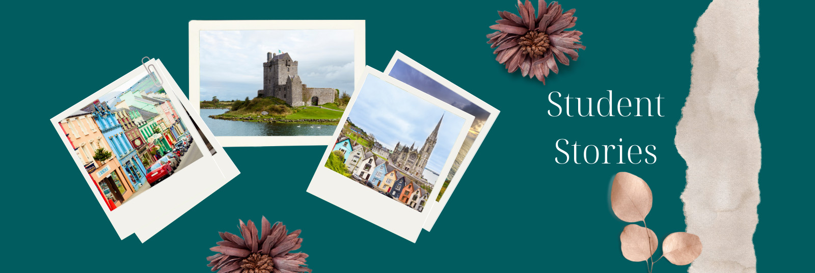 Indian student stories about studying in Ireland