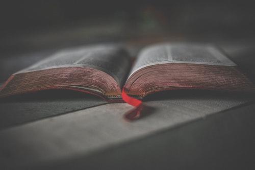 Buku bekas menjadi salah satu cara berhemat saat kuliah di luar negeri - Hotcourses Indonesia