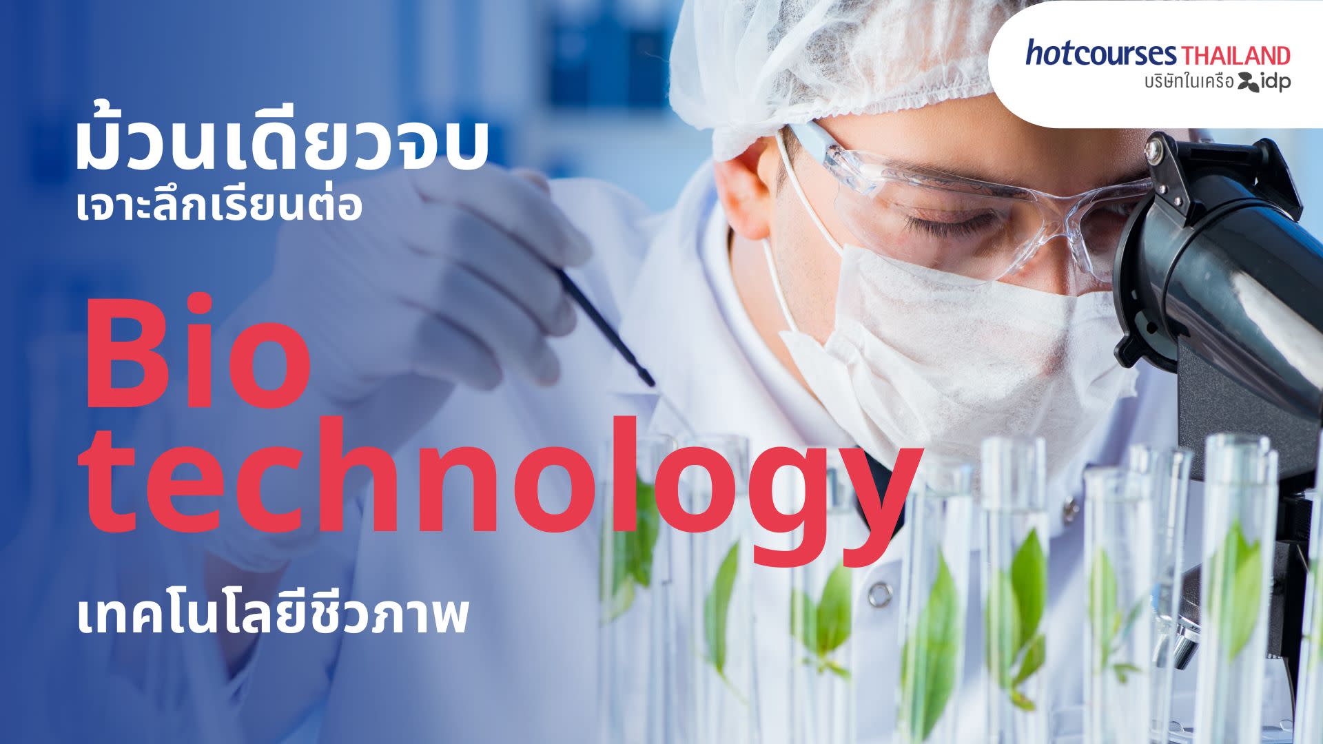 all about studying biotechnology