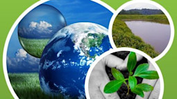 A Career in Environmental Engineering