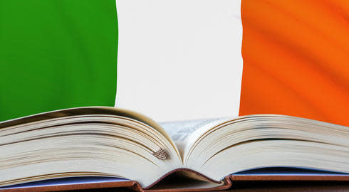 ireland scholarship