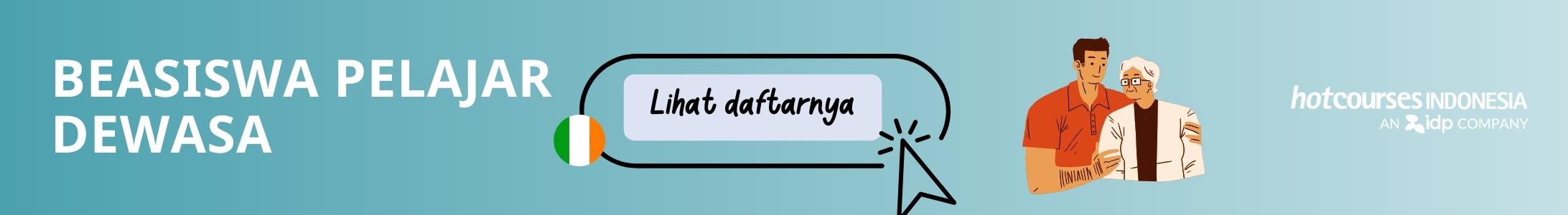 Banner Artikel Beasiswa Kategori Pelajar Dewasa di Irlandia